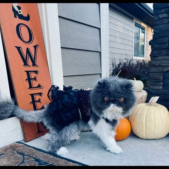 🤟🏻Welcome! - Picture 3 of 6